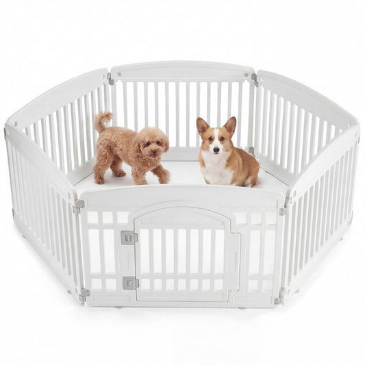 Pet product photo