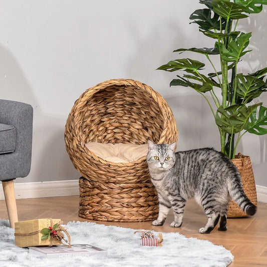 Pet product photo