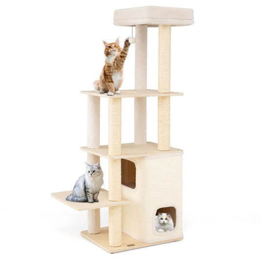 Pet product photo