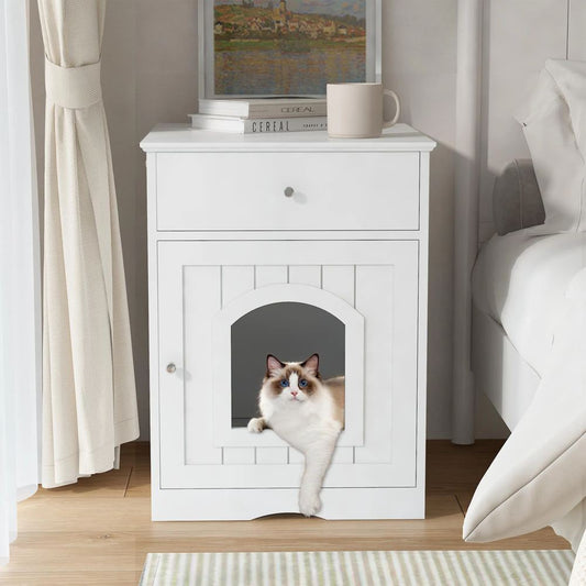 Pet product photo