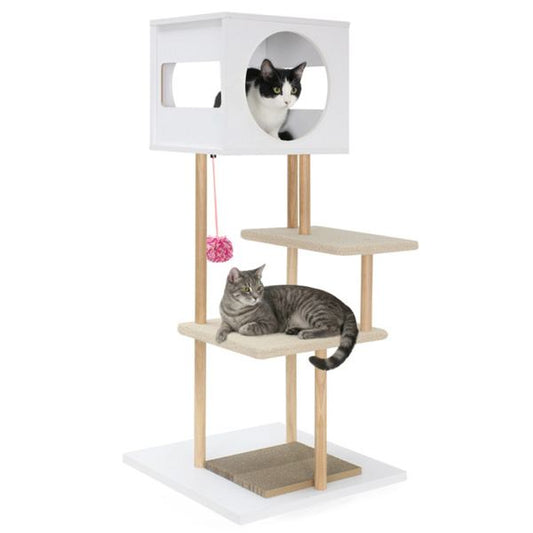 Pet product photo