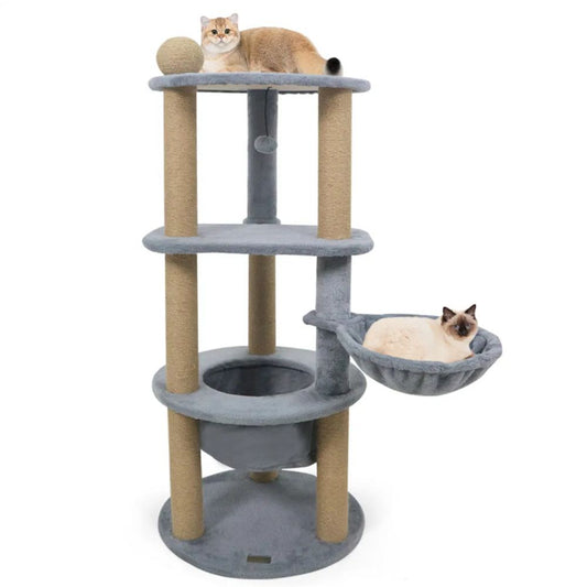 Pet product photo