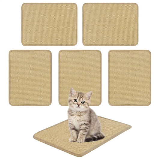 Pet product photo