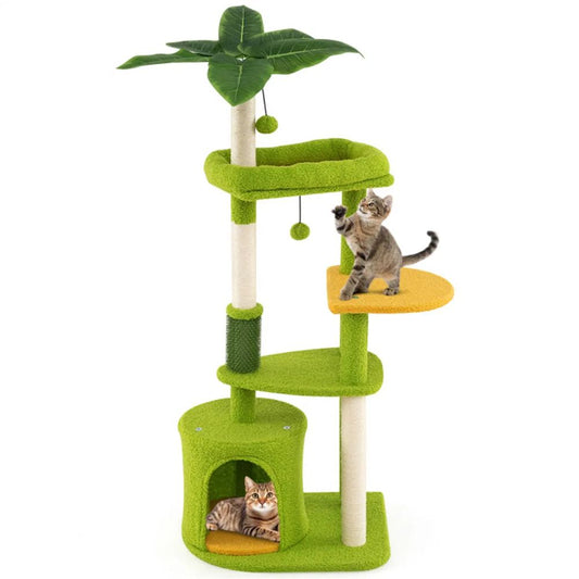 Pet product photo