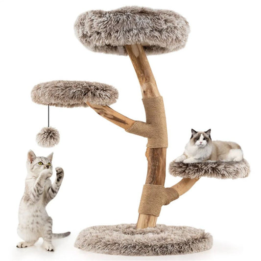 Pet product photo