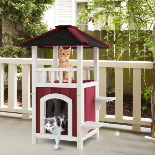 Pet product photo