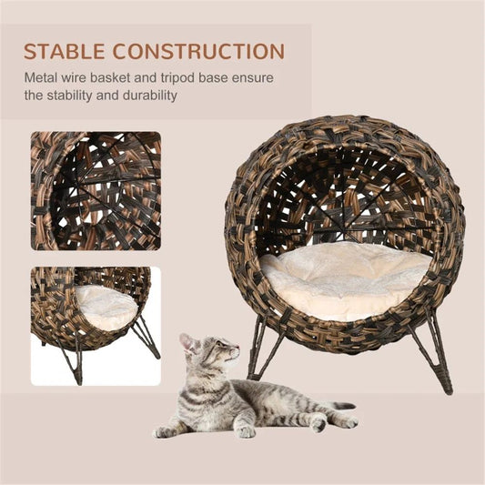 Pet product photo