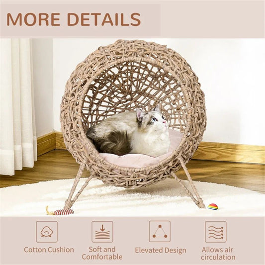 Pet product photo