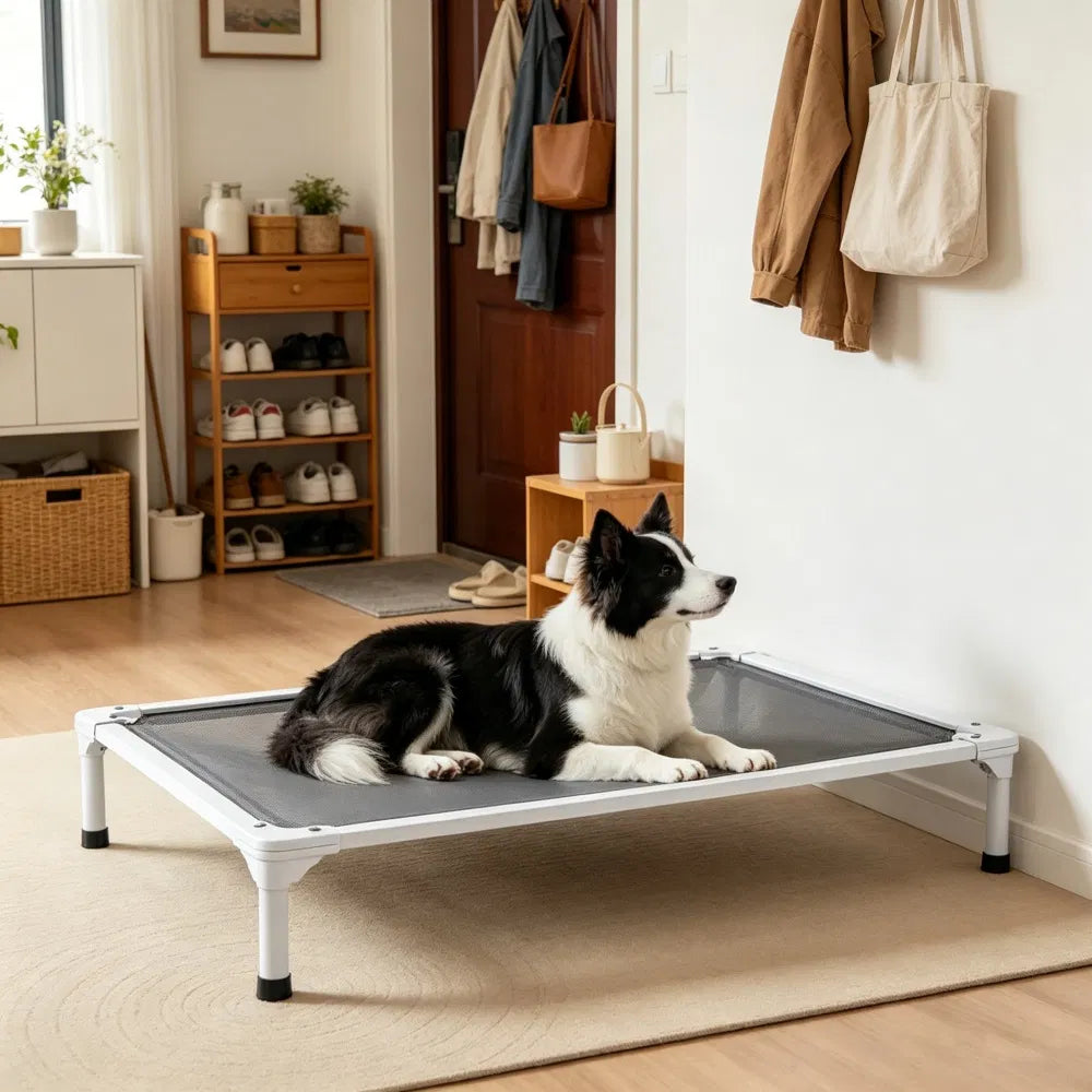 Elevated dog bed