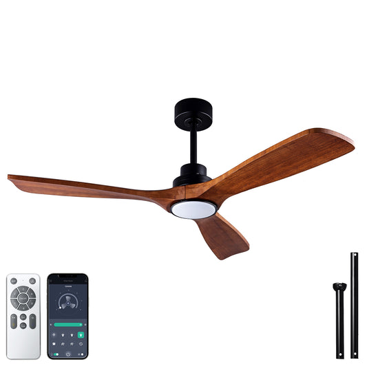 Outdoor ceiling fan