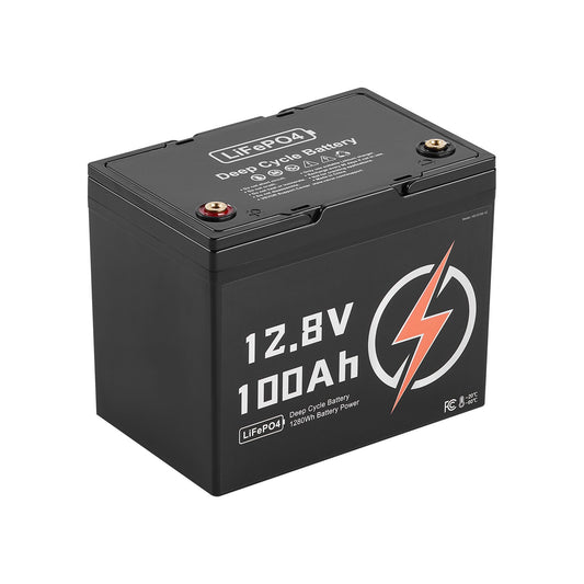 Two 12V 100Ah deep cycle LiFePO4 batteries