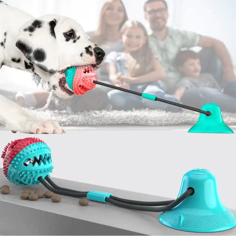 Interactive Dog Ball with Bell f/or Aggresive Chewers, Dog Toothbrush, Toy for Teething Puppys, Silicone Suction Cup Dog Toy