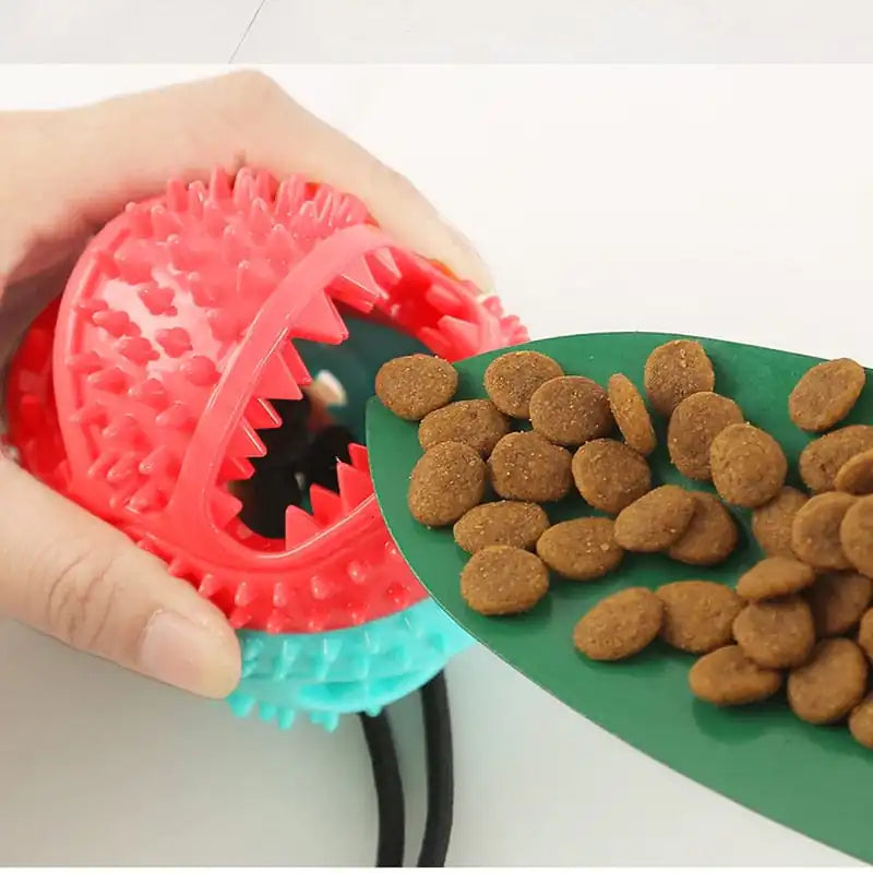Interactive Dog Ball with Bell f/or Aggresive Chewers, Dog Toothbrush, Toy for Teething Puppys, Silicone Suction Cup Dog Toy